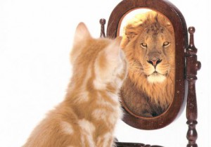 katten-och-lejonspegeln-1394361382